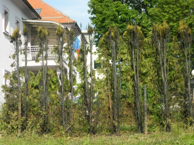 Murska Sobota: Požar na škofiji