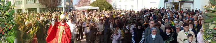 Banner Škofija Murska Sobota