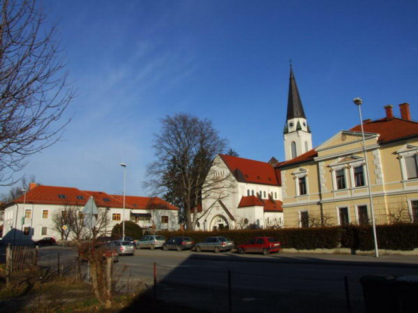 10. obletnica ustanovitve škofije 