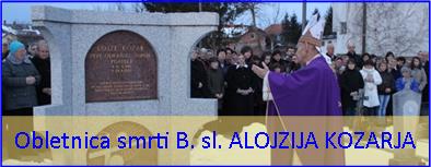 Banner Škofija Murska Sobota