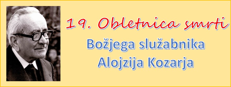 Banner Škofija Murska Sobota