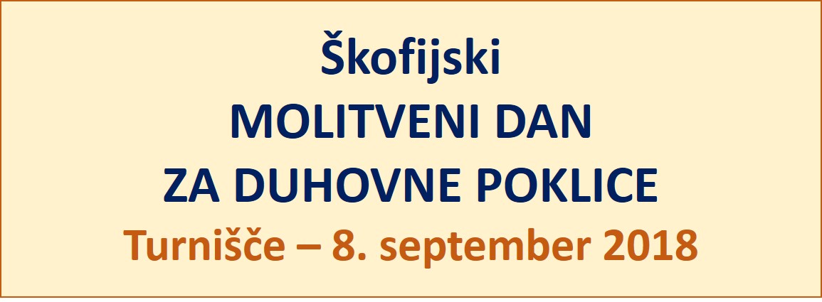 Banner Škofija Murska Sobota