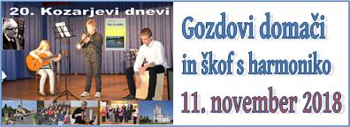 Banner Škofija Murska Sobota