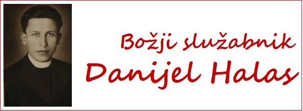 Banner Škofija Murska Sobota