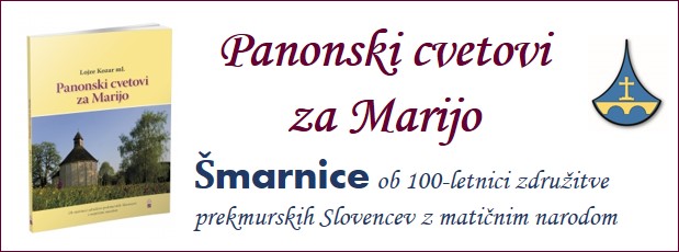 Banner Škofija Murska Sobota