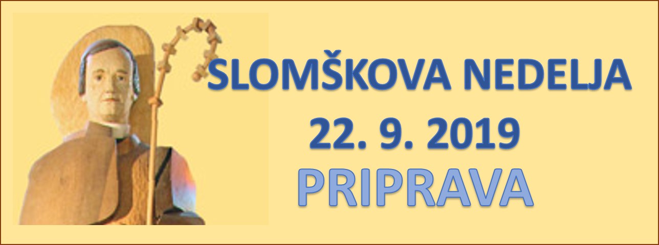 Banner Škofija Murska Sobota