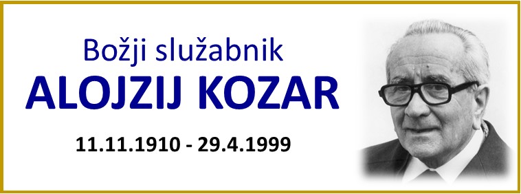 Banner Škofija Murska Sobota