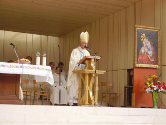 ŠKOFIJSKO ROMANJE K MARIJI POMAGAJ NA BREZJE