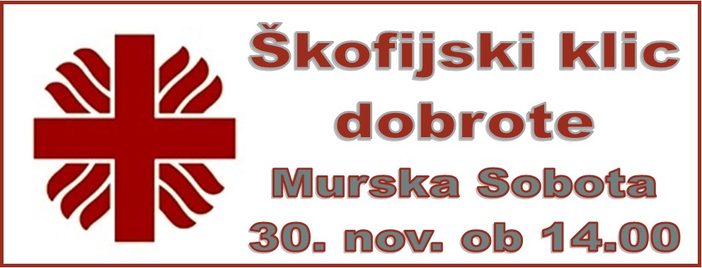 Škofija Murska Sobota
