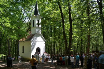 Sv. Vid - maša za delavce in kmete