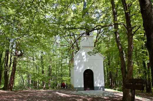 Sv. Vid - sv. maša za delavce in kmete 