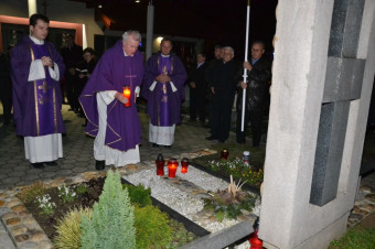 Halasov shod v Veliki Polani