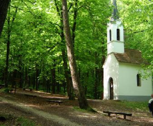 Sv. maša za delavce in kmete