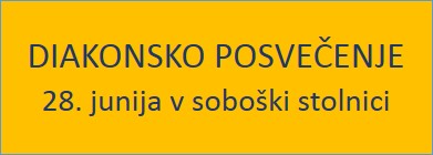 Banner Škofija Murska Sobota