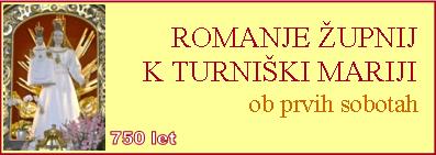 Banner Škofija Murska Sobota