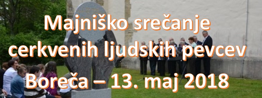 Banner Škofija Murska Sobota