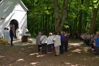 Sv. Vid - maša za delavce in kmete