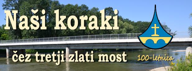Banner Škofija Murska Sobota