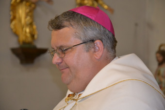 Škofova izjava