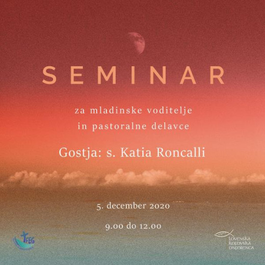 Seminar za mladinske voditelje in pastoralne delavce