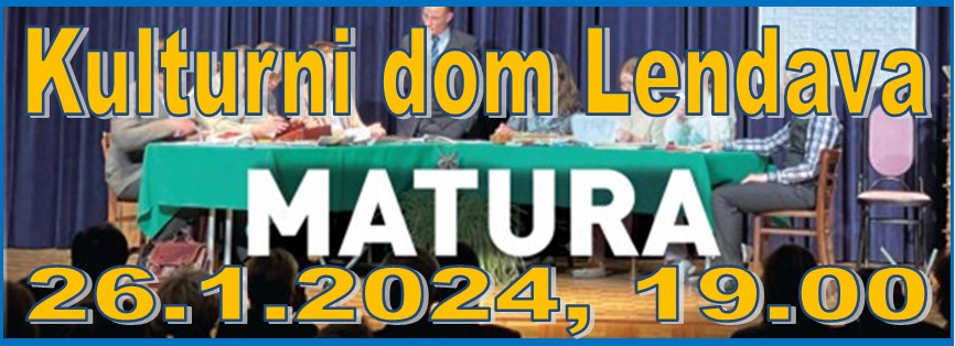 Banner Škofija Murska Sobota