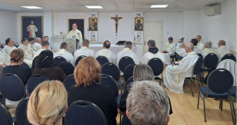 Škof na romanju