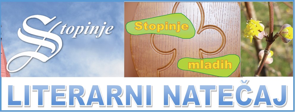 Banner Škofija Murska Sobota