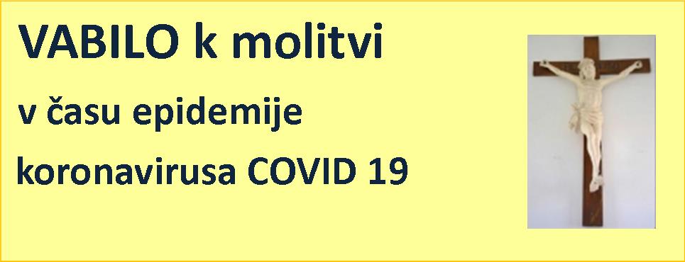 Banner Škofija Murska Sobota