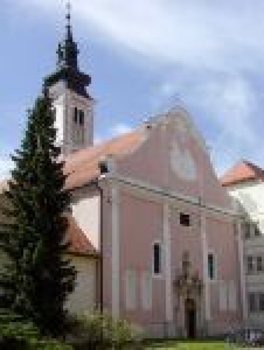 Deset let škofije v Varaždinu