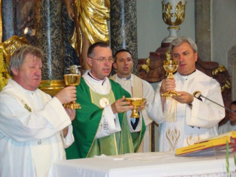 Grad - srečanje župnijskih pastoralnih svetov murskosoboške škofije