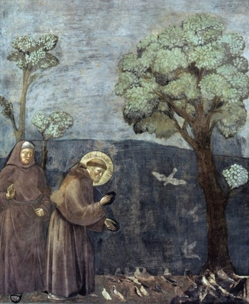 SV. FRANŠIČEK ASIŠKI, redovni ustanovitelj