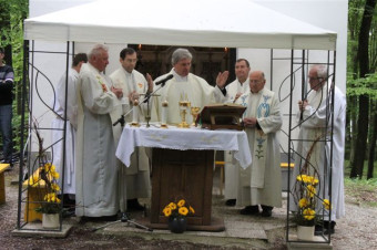 Sv. Vid - Maša za delavce in kmete